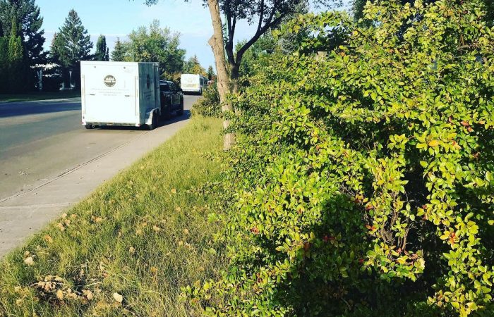 Prairie Sky Lawn Care’s trailer parked on a Red Deer boulevard